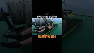 👆👆👆#jekamahmutov #mahmutov #mahmutovvlog #жекамахмутов #махмутов #sea #работавморе #спорт #накорабле