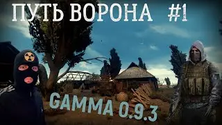Path of the Raven. GAMMA 0.9.3 S.T.A.L.K.E.R. Anomaly Walkthrough Part 1