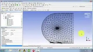 SimCafe: 3D Wing Mesh 2