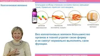Биодоступный белок  Опущение органов и восстановление ногтевой пластины