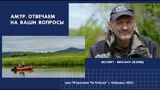 The Amur River. We answer your questions (expert Mikhail Skopets)