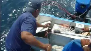 pesca de dorado en marc - video 2 - Salinas Ecuador