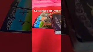 20 августа 2024 г.