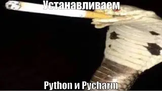 Устанавливаем Python и Pycharm(WHO?????)