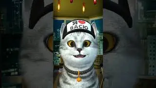 КАК НАЙТИ КОТА ДОМА 