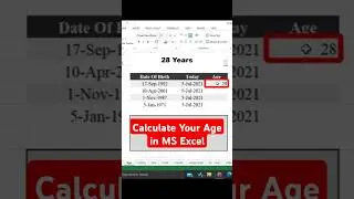 Your Age | How to Calculate Age in Excel | Age calculator in excel