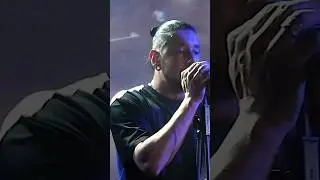 Дима Корсо - Дельфины тонут голыми #димакорсо