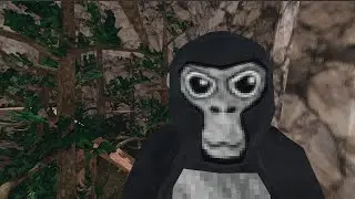 playing gorilla tag