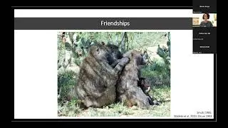 Human - Non-human Primate Conflict Mitigation Approaches: Lessons from Olive Baboons