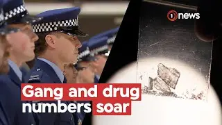 Small growth in police force under pressure from 'unprecedented' meth use | 1News on TVNZ+