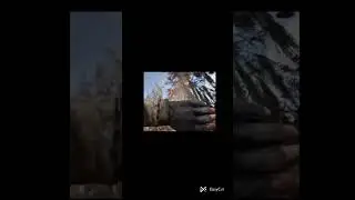 Сталкер 2 трейлер