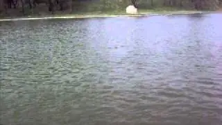 Remote Control Boat