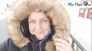 А чайки надеялись! Тут ветрище - там затишье. Мотаемся на пароме туда-обратно. Измир Турция