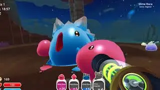 matando al gordete slime rancher #1