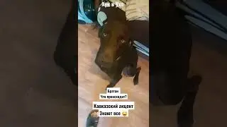 Братан,что происходит? Кавказский акцент. зачем тебе такая аптека?