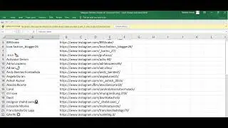 Instagram Followers Scraper