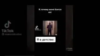 Я:Почему меня боиться кот: