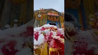 Finally I'm in Kedarnath temple Mahadev temple #kedarnath #mahadev #viral #youtubeshorts