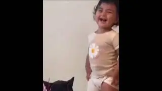 Когда у тебя дома 🐈‍⬛ Чёрный КотГР как тигрБь 🤣