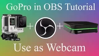 How To Use GoPro as a Webcam with Capture Card in OBS Studio | One Minute Tutorial