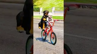 Dogs teach us love in its purest form | Part 167 |🥺