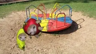 Apple cat fell over Banana cat(Sad Ending):