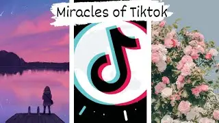 Ultimate Nature TikTok Complitation (August2021) - Part 2