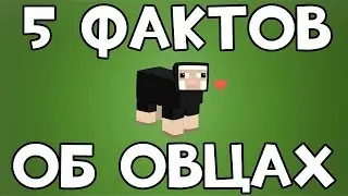 ТОП 5 фактов об овец в Minecraft