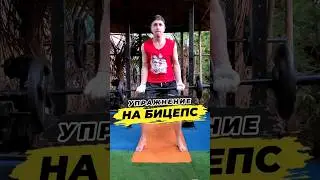 🔥Упражнение на бицепс 