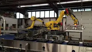Robotic Muffin Depanners - SPI Automation