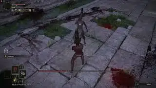 Mimic Fight Elden Ring: VERY INTENSE!!!