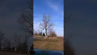 A Little Yard Work With The Farm Truck