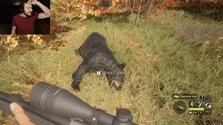 VOD - Laink // theHunter - New England Mountains Gold Challenge