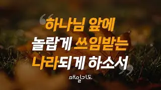 [매일기도] 11월 10일 주일 | 하나님 앞에 놀랍게 쓰임받는 나라되게 하소서