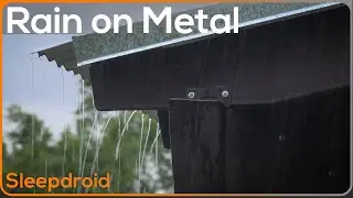 ► Hard Rain on a Metal Roof | Sounds for Sleeping ~ 5 hours of Rain on a Tin Roof | Nature Video 4k
