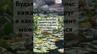 #философия