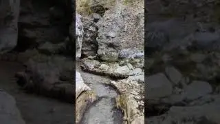Robber's Cave.  Uttarakhand.