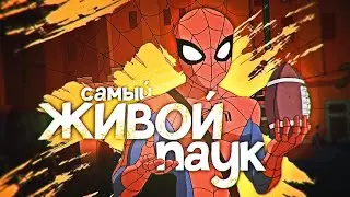 ПЛЮСЫ ГРАНДИОЗНОГО ЧЕЛОВЕКА-ПАУКА 