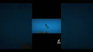3чать RUST