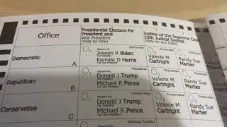Voting for President 2020