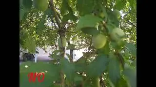 Volgograd Instructiones: Cherry collection Part 1