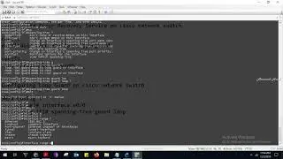 Configuring Loop Guard on cisco network switch