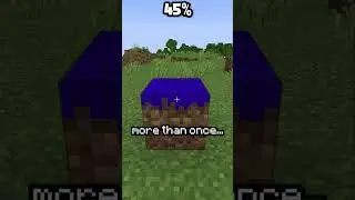 Minecraft, But You Have To Color The Whole World...