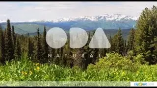 Запуск новой линии косметики #ODA NATURALS  Здоровые новости с Сергеем Семенченко от 15 11 17