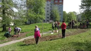 Projekt Zelené oázy  skrášlil vnútroblok na Hurbanovej ul.
