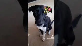 😊😊