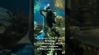Присоединяйся)) Помощь к ОГЭ и ЕГЭ в моем ТГ-канале https://t.me/russkij_s_ekspertom