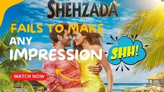Shehzada Hardly Earns any Money! Always failing to make Remakes!