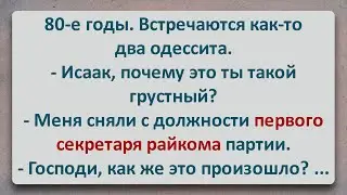 ✡️ Первый Секретарь Райкома! Еврейские Анекдоты! Анекдоты про Евреев! Выпуск 