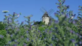 Chateau collection